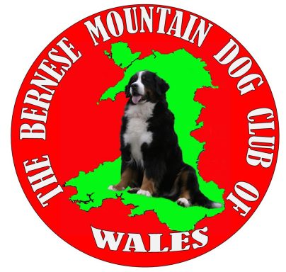 Wales Bernese