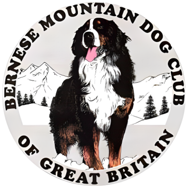 Bernese.co.uk